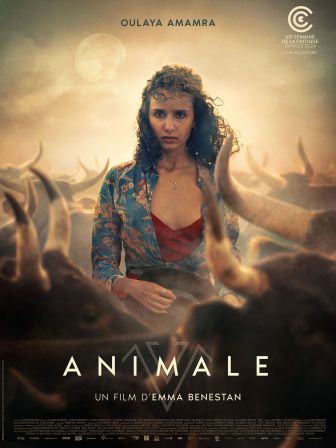 image: Animale
