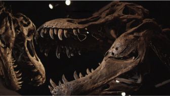 image: Avant «Jurassic Park» : l'apocalypse des dinosaures