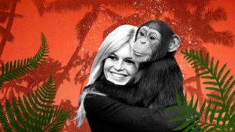 image: Brigitte Bardot, le serment fait aux animaux