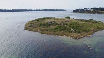 image: Carnac, sur les traces du royaume disparu