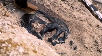 image: Chicxulub, l'apocalypse des dinosaures