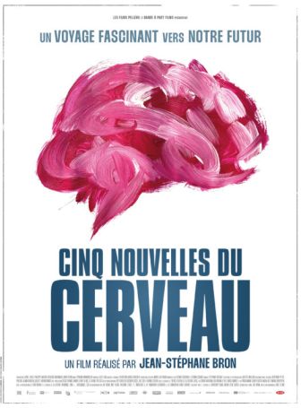 image: Cinq nouvelles du cerveau