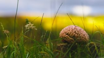 image: Climat : mon cerveau fait l'autruche