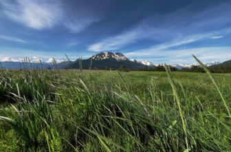 image: Coup de chaud sur l'Arctique