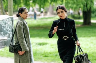 image: Die Füchsin - Rachespiel