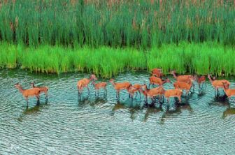 image: Die geheime Welt der Tiere