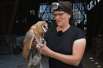image: Die Rückkehr der grossen Vögel