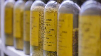 image: Dis-moi ce que tu manges - Une histoire de l'alimentation