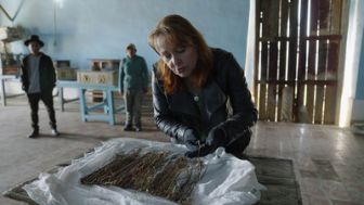 image: Empire inca : l'histoire révélée