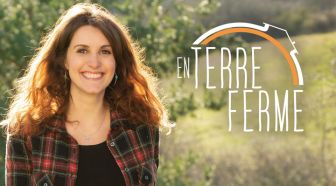 image: En terre ferme