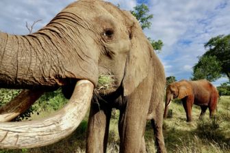 image: Extrême Namibie