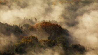 image: Fabuleuse Provence