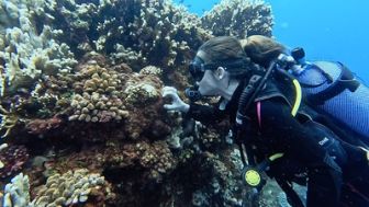 image: Faites entrer la nature