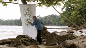 image: Francis Hallé, une vie en forêt