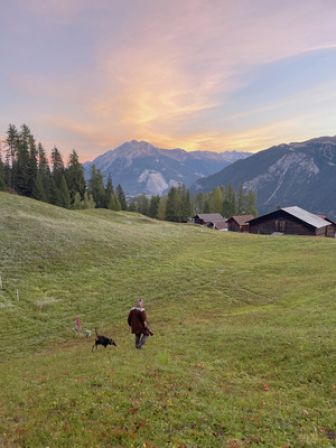 image: Histoires de chiens suisses