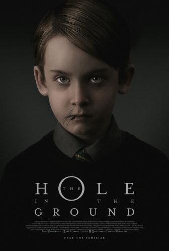 image: The Hole in the Ground