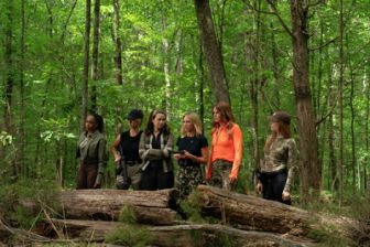 image: The Hunting Wives