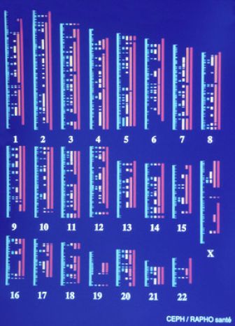 image: Indices