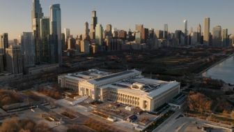 image: Insectes, la sixième extinction massive ?