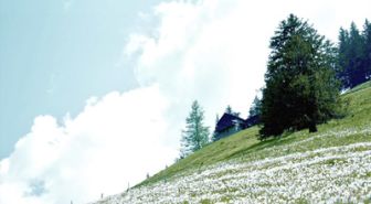 image: L'appel d'en haut - L'héritage culturel des paysans de montagne