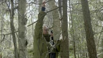 image: L'Archipel des forêts