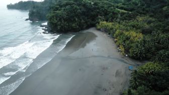 image: L'enfant de la forêt au Costa Rica
