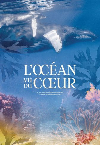 image: L'océan vu du coeur