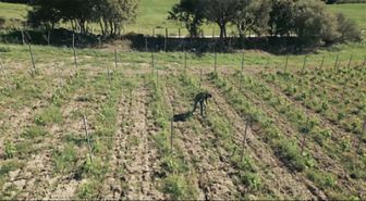 image: La course au climat