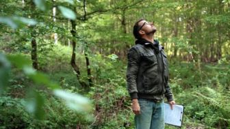 image: La forêt gourmande