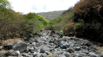 image: La Réunion, l'eau sur un fil