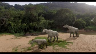 image: La terre des géants