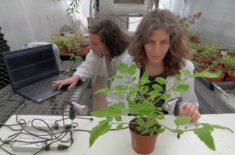 image: Le génie caché des plantes : supersens