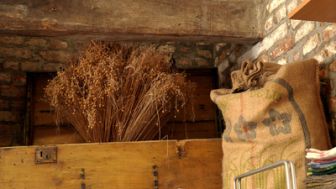 image: Le lin, ce trésor français