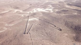 image: Le mystère des cerfs-volants du désert