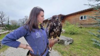 image: Le retour du géant