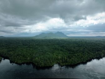 image: Les cités perdues de l'Amazonie