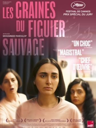 image: Les graines du figuier sauvage