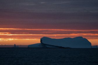 image: Les îles, laboratoires de la nature