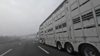 image: Les routiers : profession chauffeur poids lourd