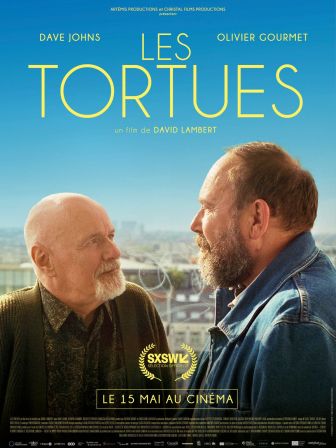 image: Les tortues