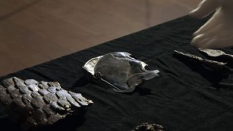 image: Les trésors perdus de Rome