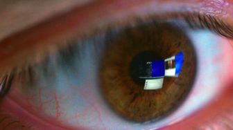 image: Mascus, les hommes qui détestent les femmes