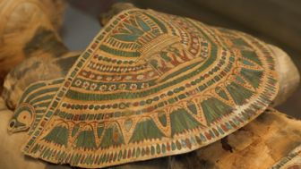 image: Momies d'Égypte en quête d'immortalité