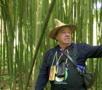 image: Monsieur Bambou