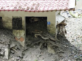 image: Nature meurtrière