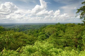 image: Nature, notre alliée insoupçonnée