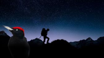 image: Nos amis sauvages