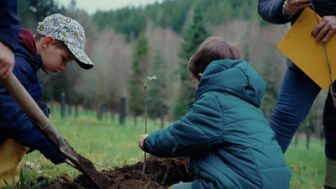 image: Planter à tout prix, des arbres pour sauver la planète ?