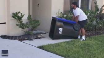 image: Plein les yeux