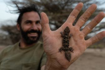 image: Primal Survivor : Extreme African Safari